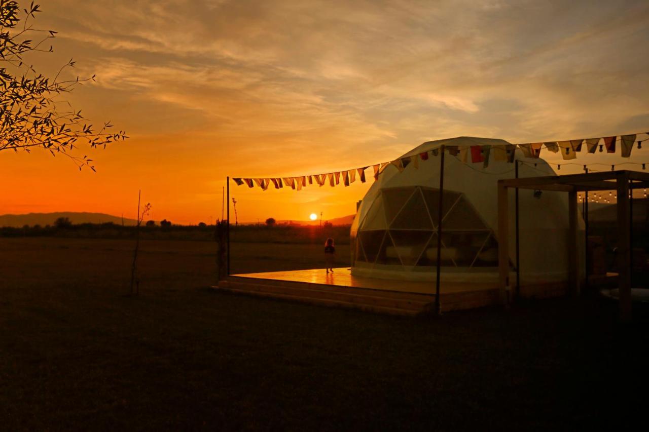 Jewelberry Glamping Hotel Tbilisi Mtsʼkhetʼa المظهر الخارجي الصورة