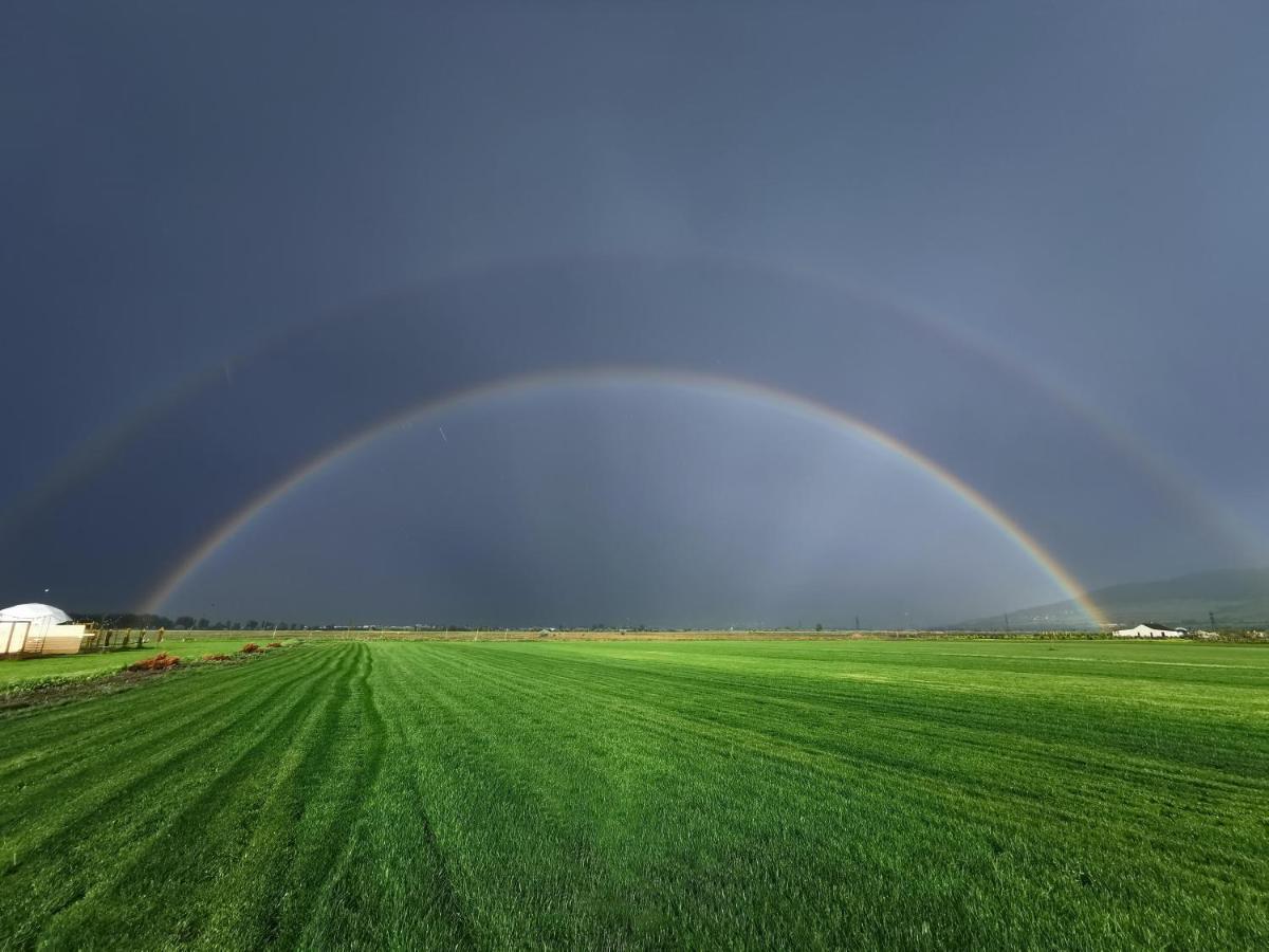 Jewelberry Glamping Hotel Tbilisi Mtsʼkhetʼa المظهر الخارجي الصورة